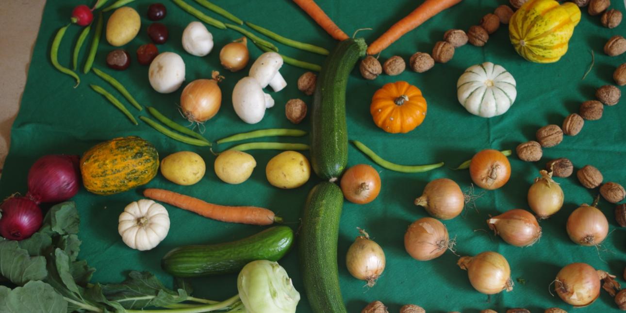 Im Herbst feiern wir Erntedank