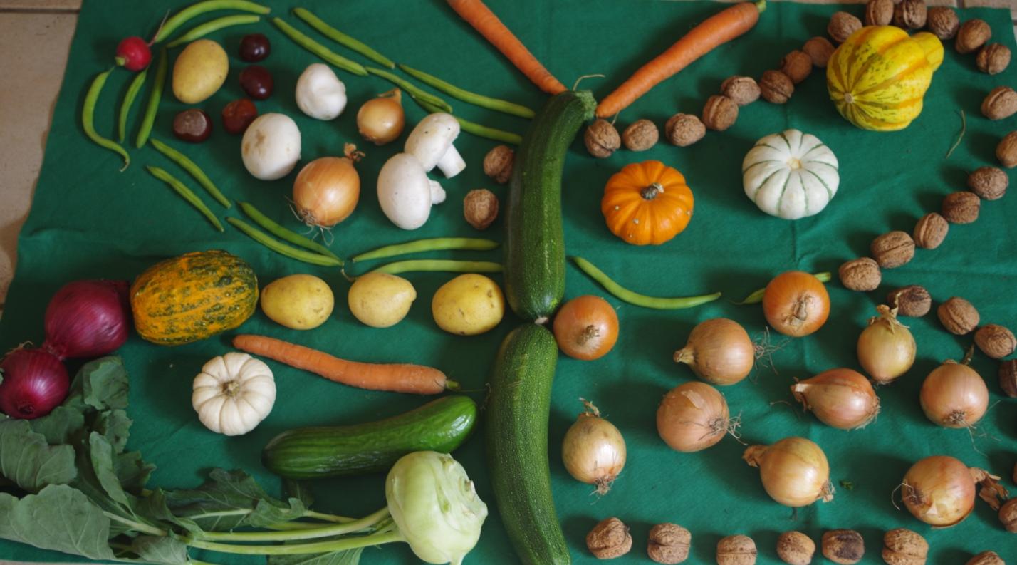 Im Herbst feiern wir Erntedank