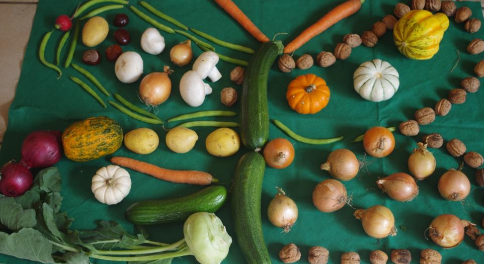Im Herbst feiern wir Erntedank