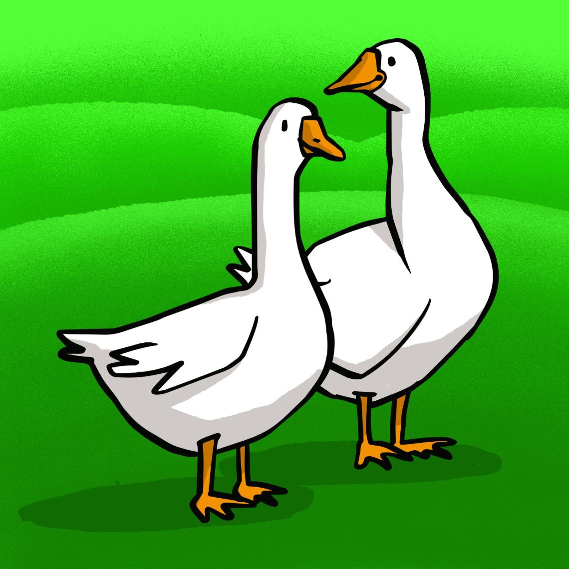 Sankt Martin Quiz