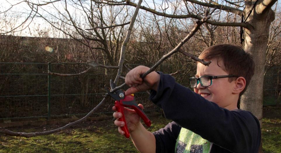 Fotos nur zur Nutzung auf Homepage familien234