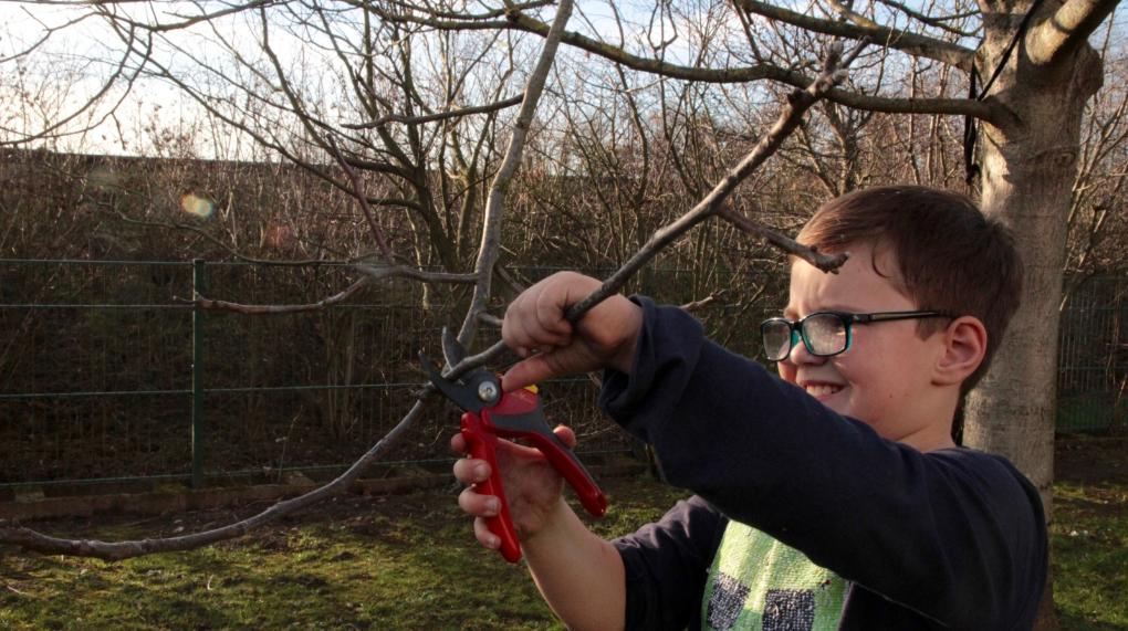 Fotos nur zur Nutzung auf Homepage familien234