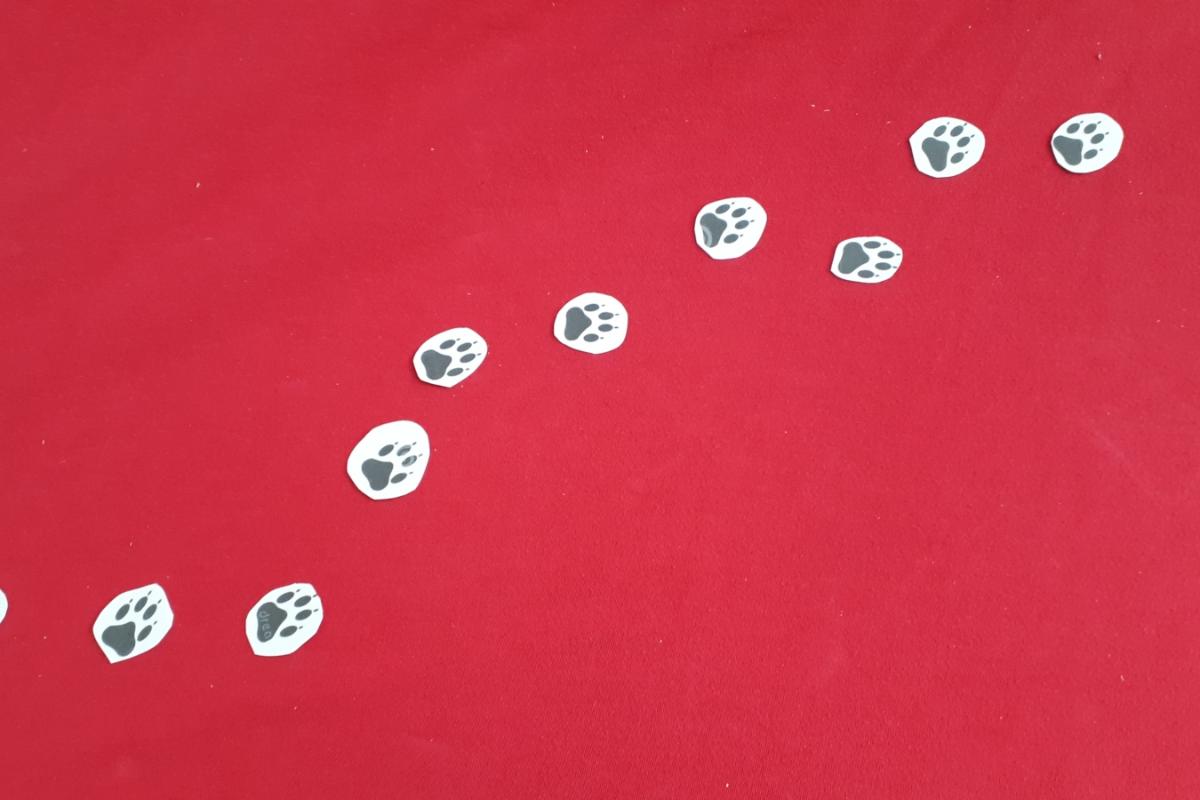 familien234 1.Advent B Teddy-Versteck_2