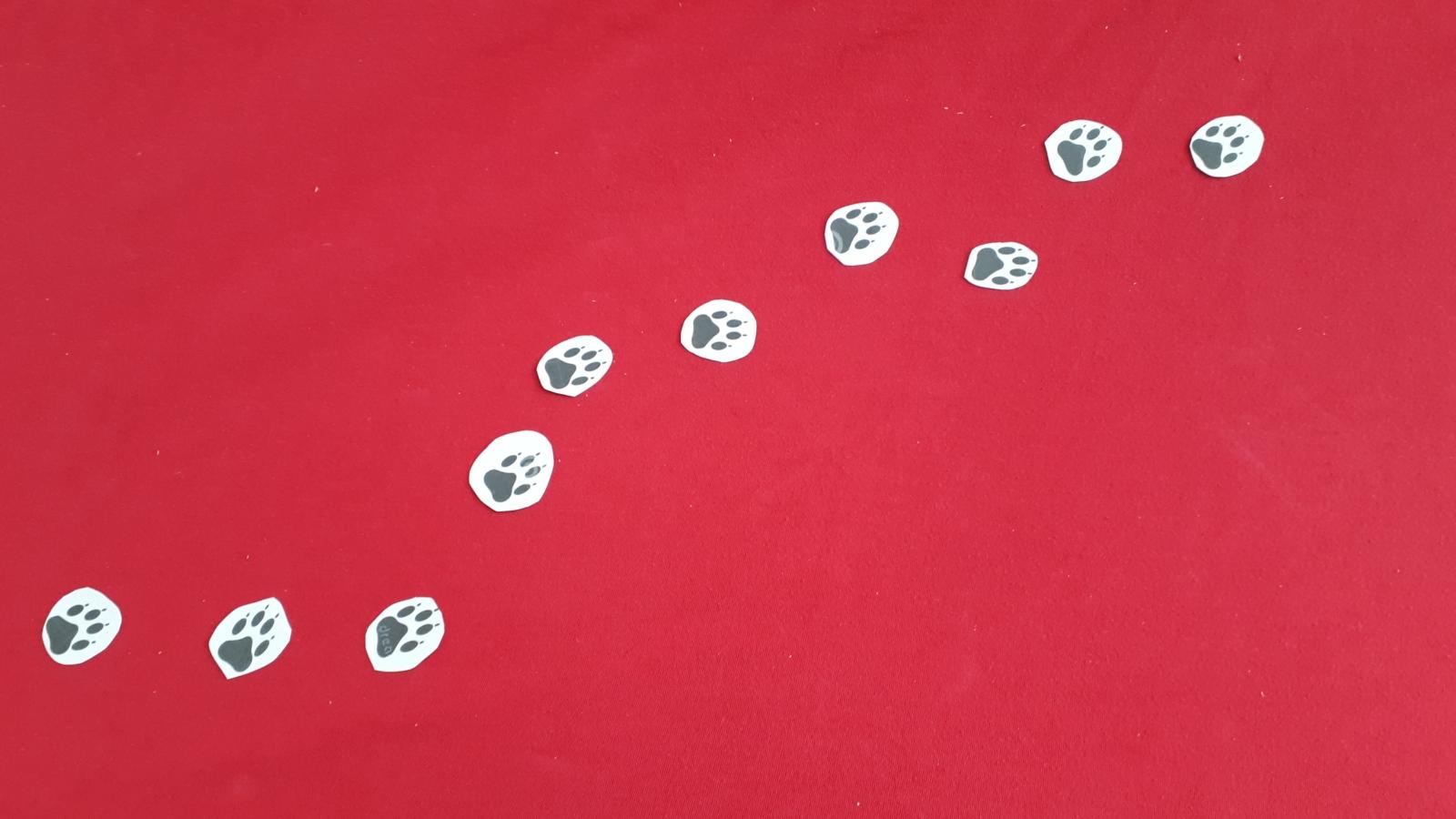 familien234 1.Advent B Teddy-Versteck_2