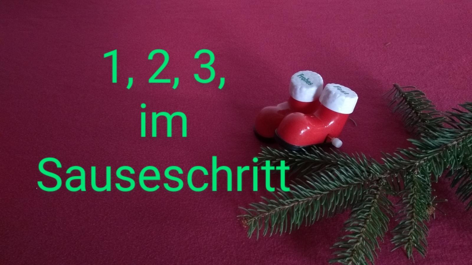 familien234 4.Advent B Spaziergang Sauseschritt