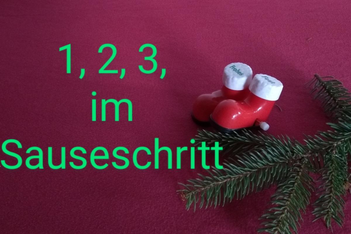 familien234 4.Advent B Spaziergang Sauseschritt