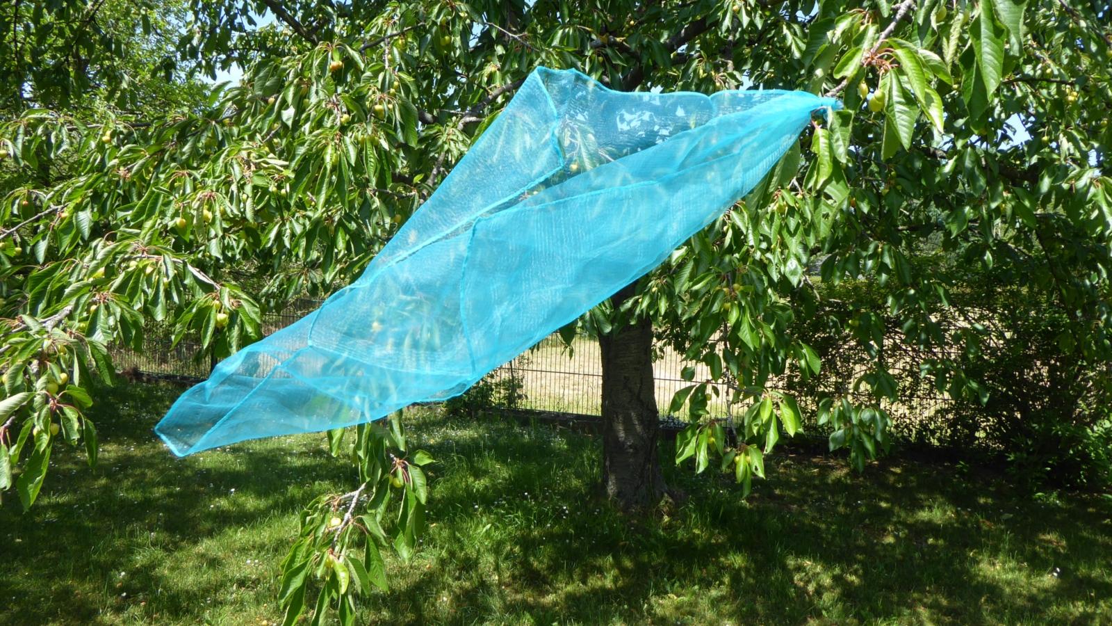 Ideen aus der Kiste: Pfingsten Wind 2