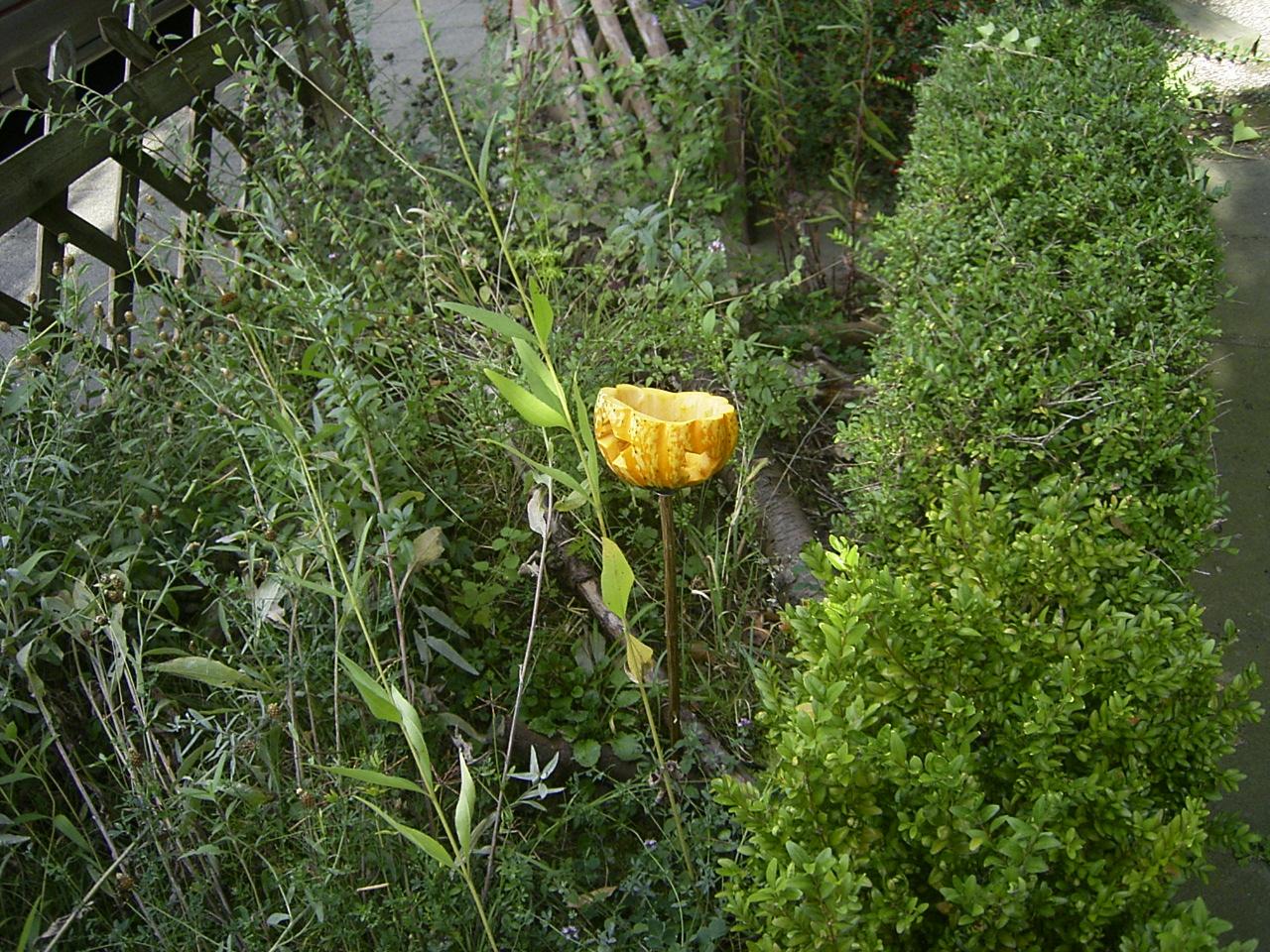 familien234 basteln Allerheiligen Gartenlicht 1
