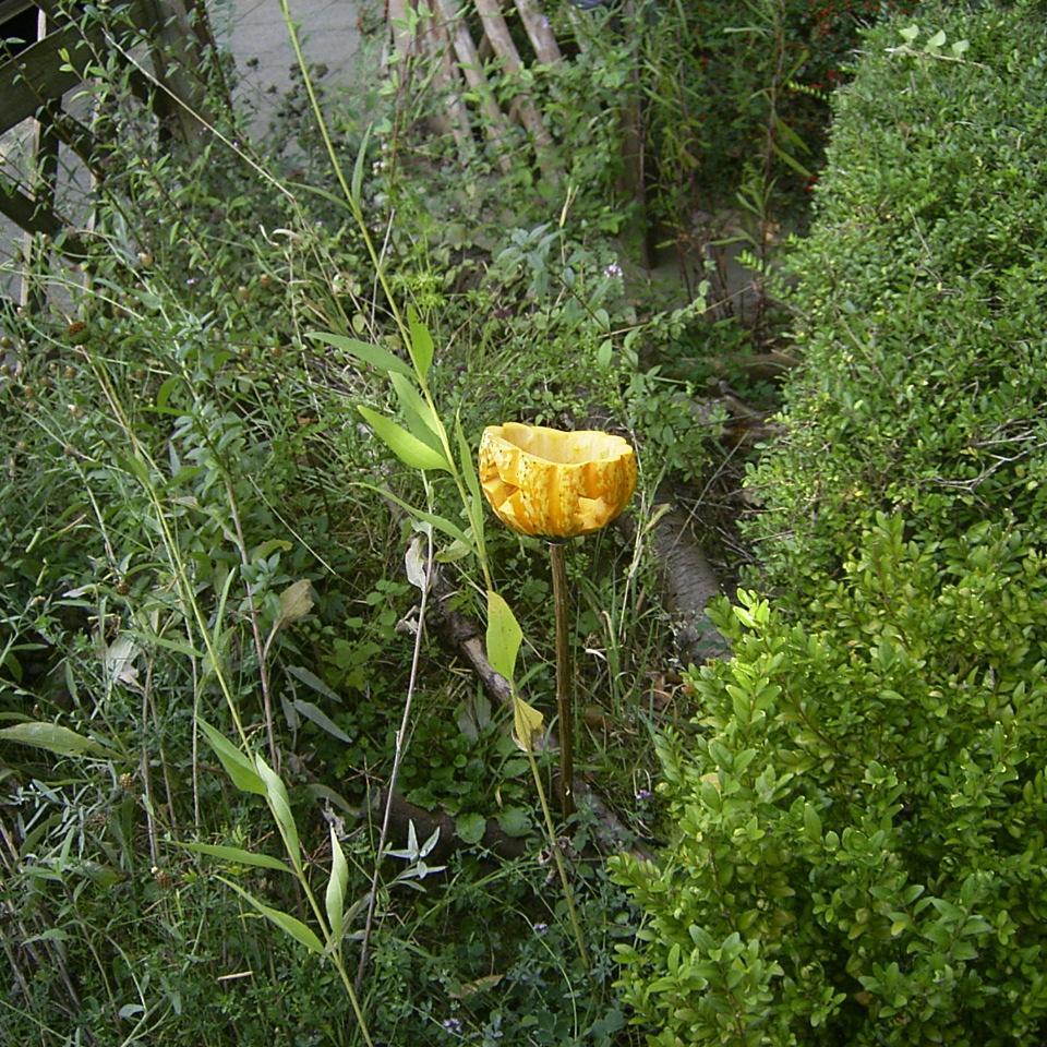 familien234 basteln Allerheiligen Gartenlicht 1