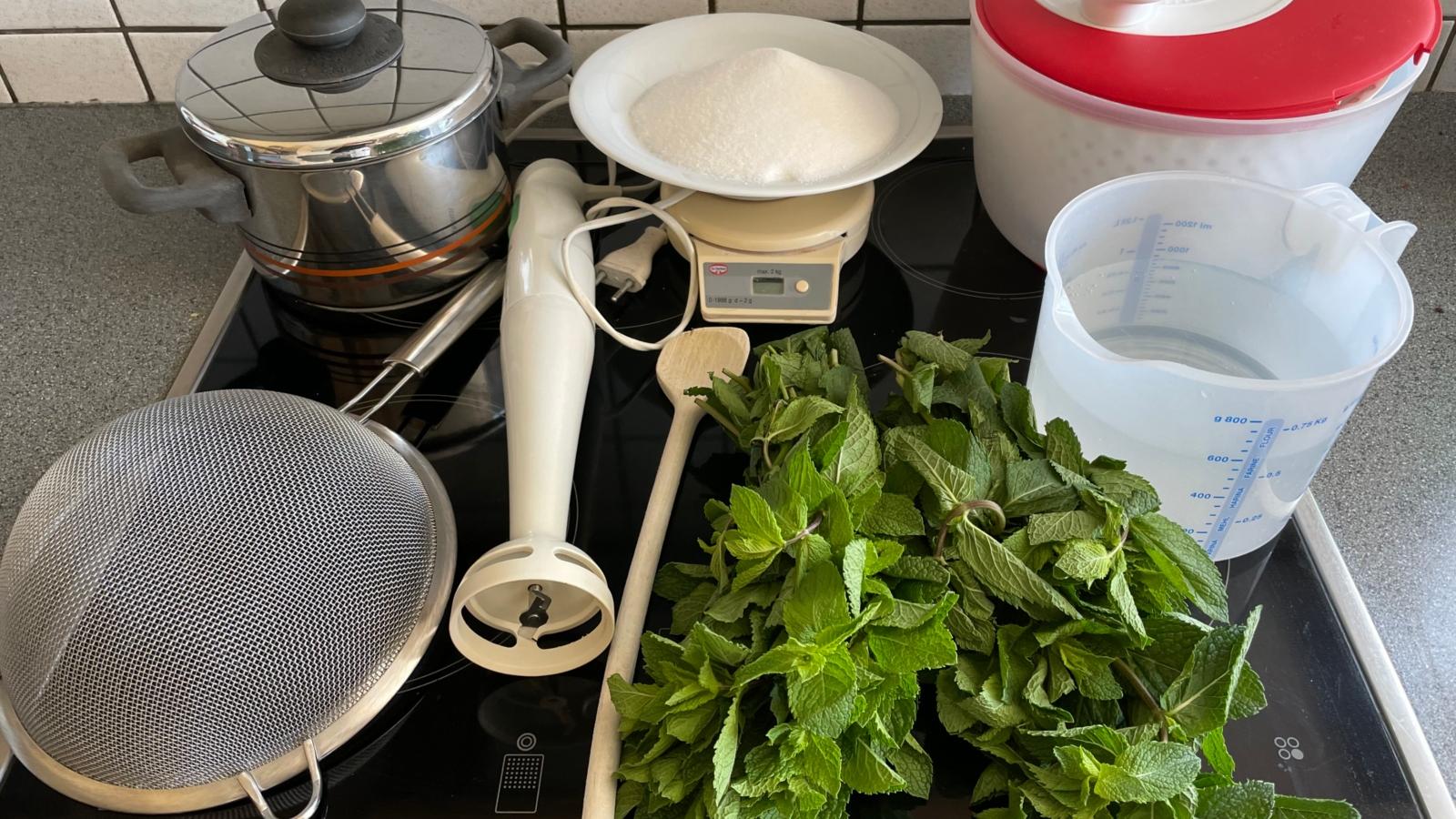 familien234 kochen Maria Himmelfahrt Minzsirup 01