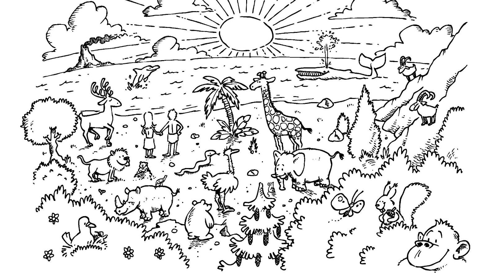 Bibelbild Schöpfung
