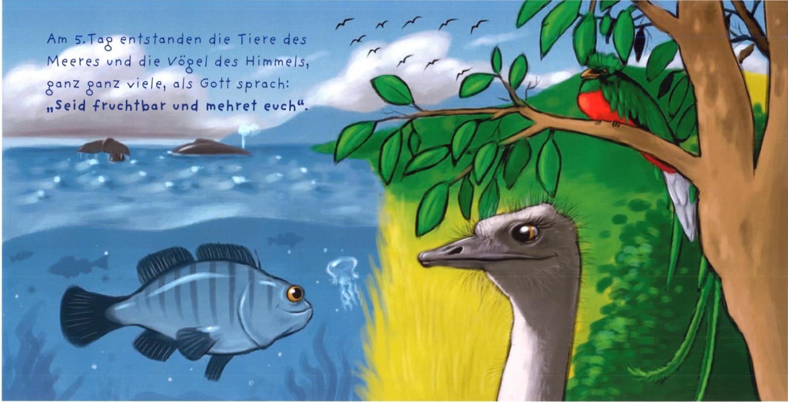 Erlebnis Schöpfung Tag 5