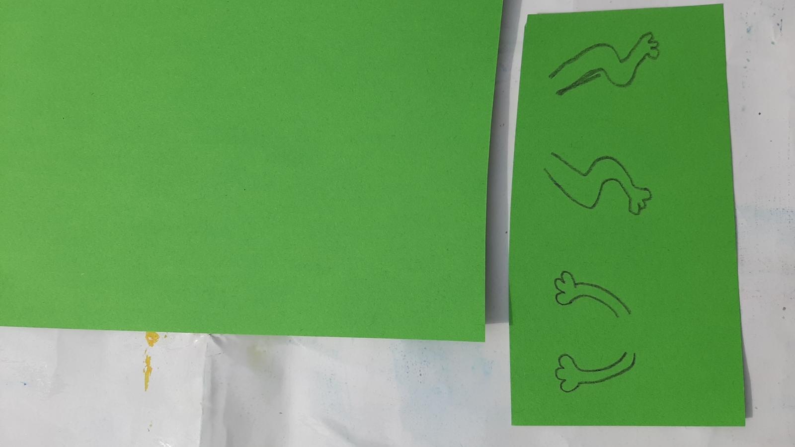 Schöpfung Tag 5 Frosch 3