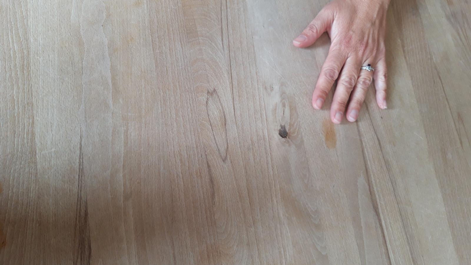 Schöpfung Tag 5 Ich habe gefischt 4