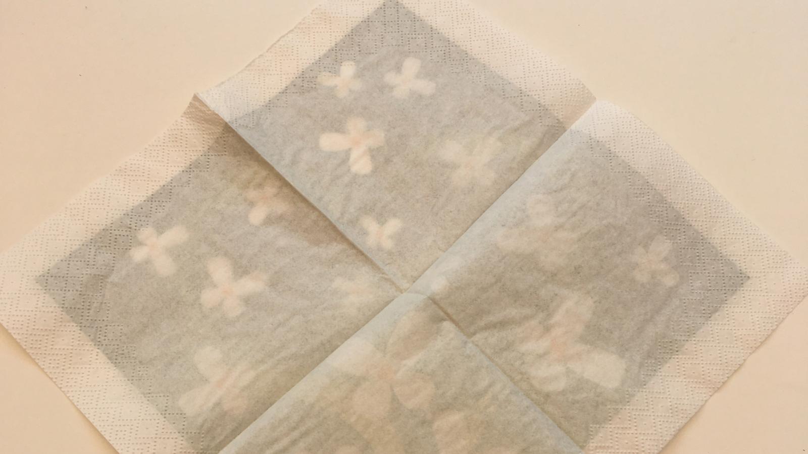 Schöpfung Tag 3 Serviette 2