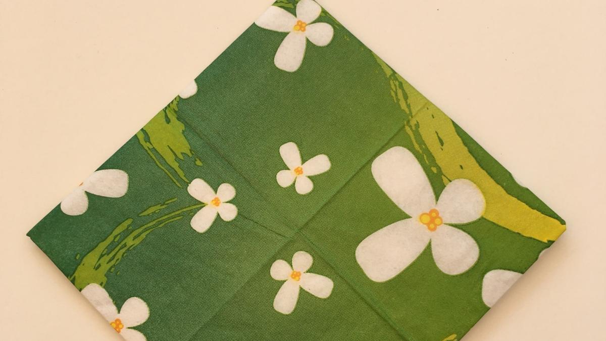 Schöpfung Tag 3 Serviette 5