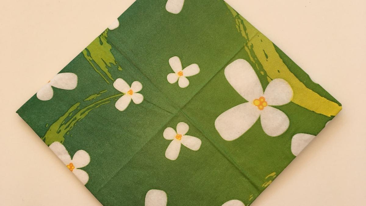 Schöpfung Tag 3 Serviette 5