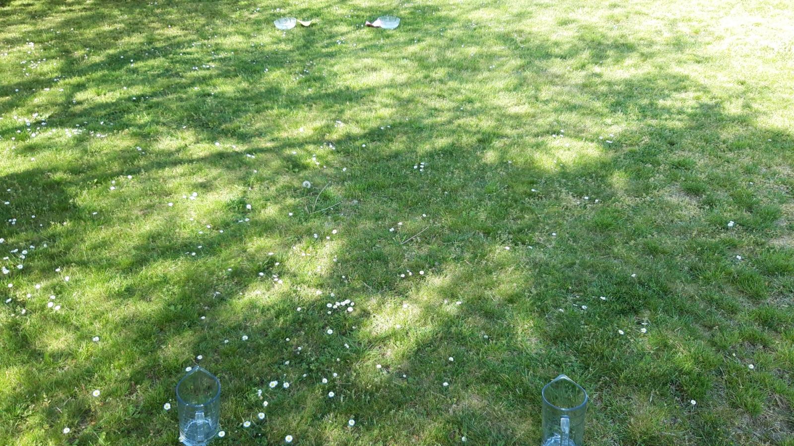 Schöpfung Tag 2 Wettlauf 3 (c) familien234.de Köln Schöpfung Tag 2 Wettlauf 3