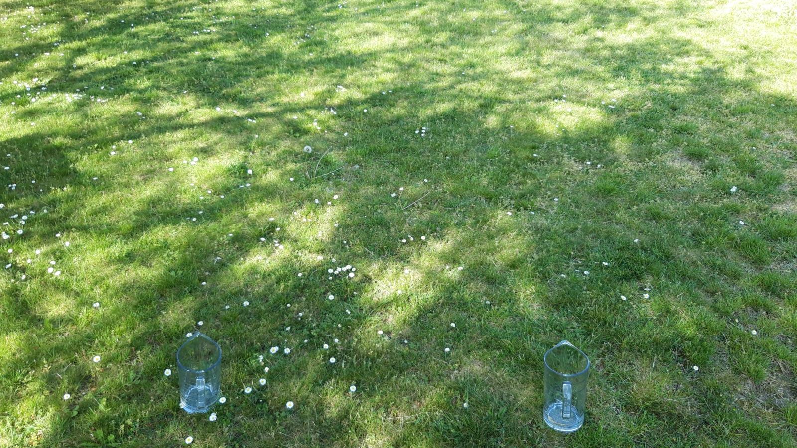 Schöpfung Tag 2 Wettlauf 3