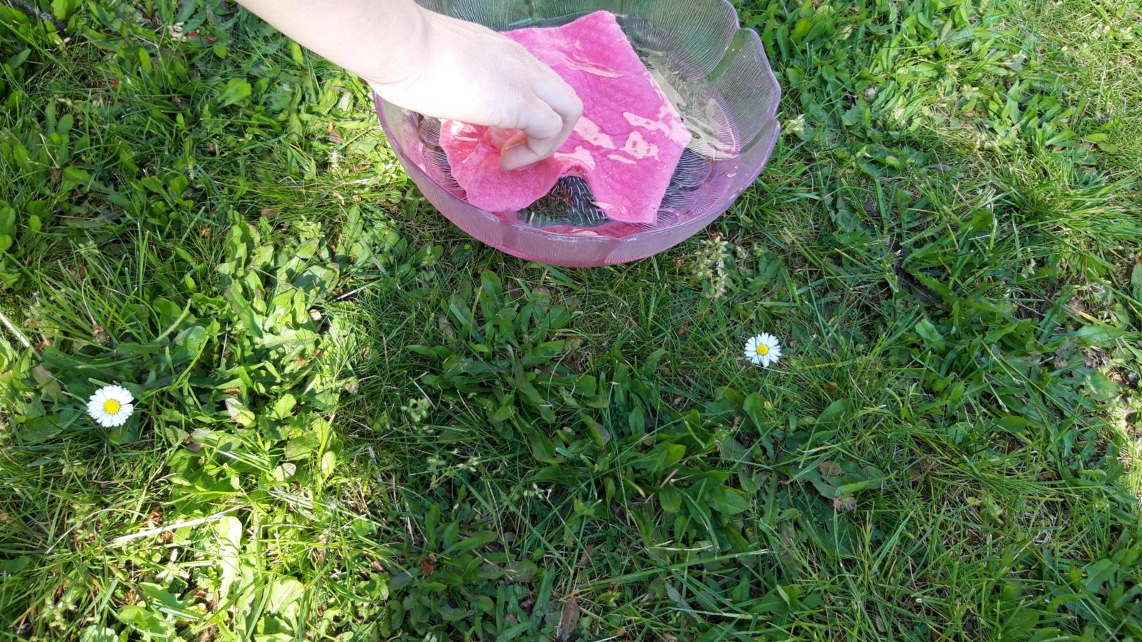 Schöpfung Tag 2 Wettlauf 4 (c) familien234.de Köln Schöpfung Tag 2 Wettlauf 4