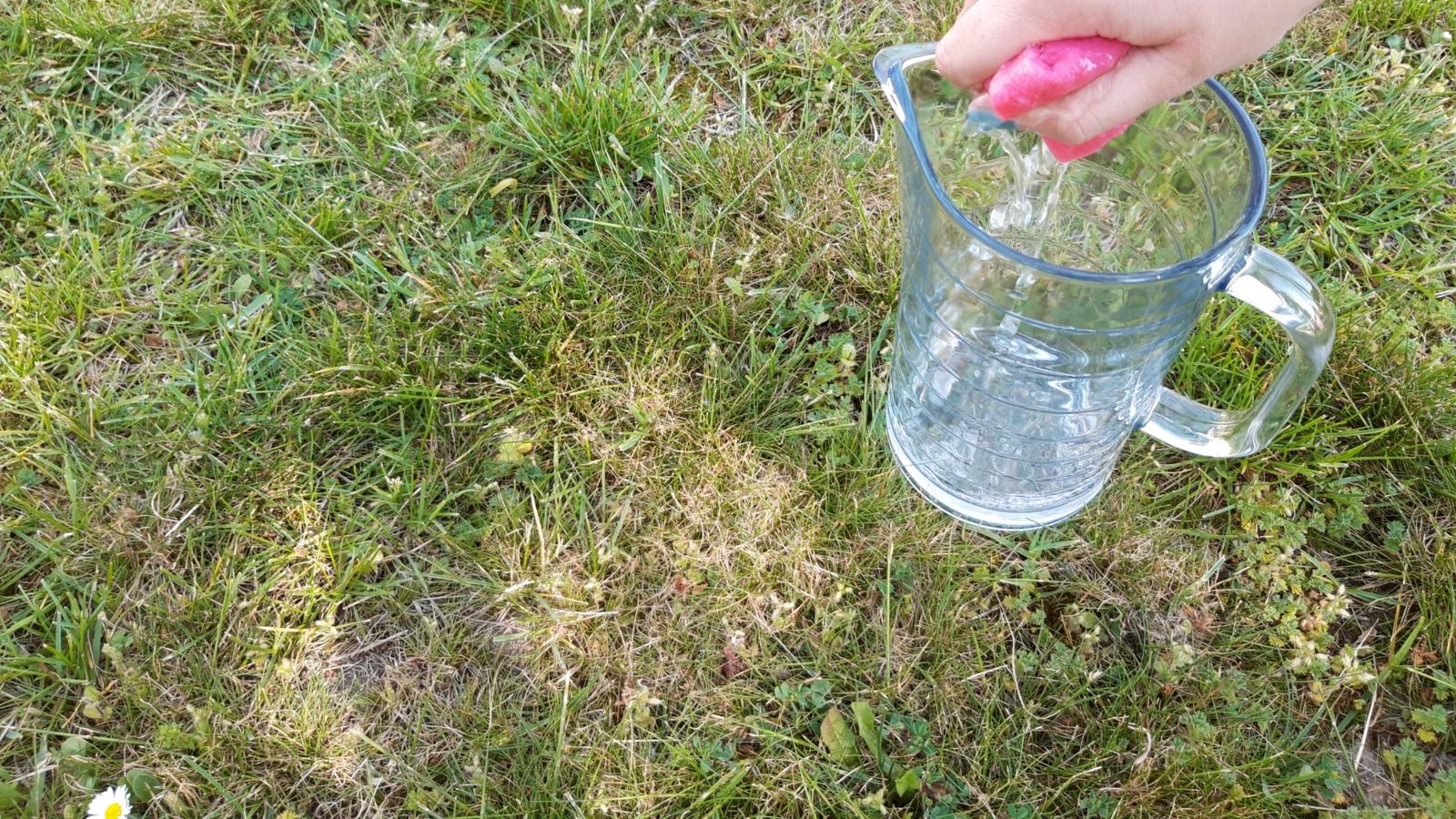 Schöpfung Tag 2 Wettlauf 6 (c) familien234.de Köln Schöpfung Tag 2 Wettlauf 6