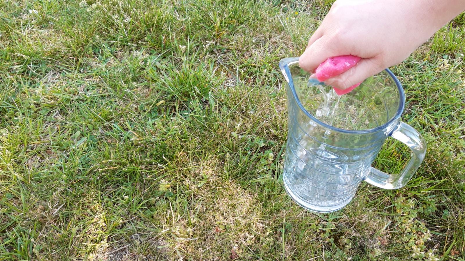 Schöpfung Tag 2 Wettlauf 6